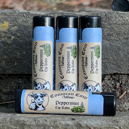 Four lip balms with visible branding on a textured surface.